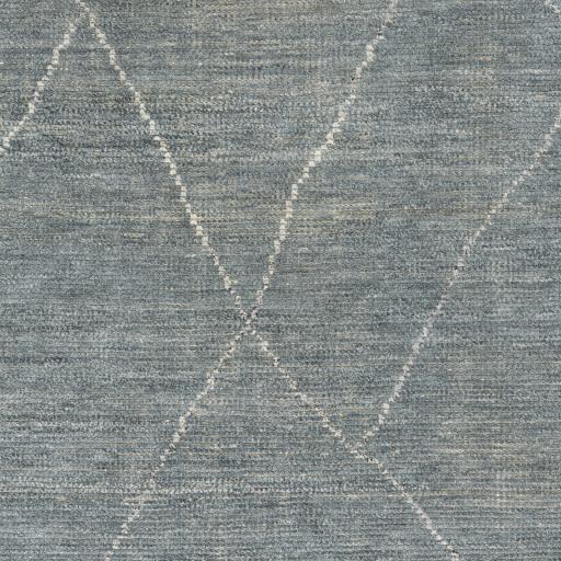Surya Nalan NYL-2302 Medium Gray White 9' x 12' Rug
