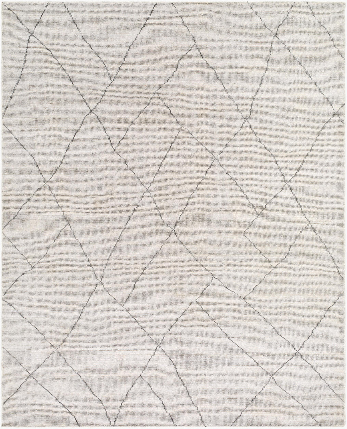 Surya Nalan NYL-2303 2' x 3' Handmade Rug
