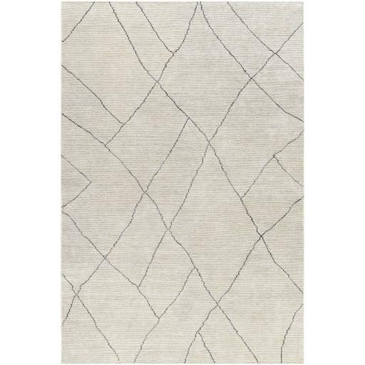 Surya Nalan NYL-2303 8' x 10' Rug