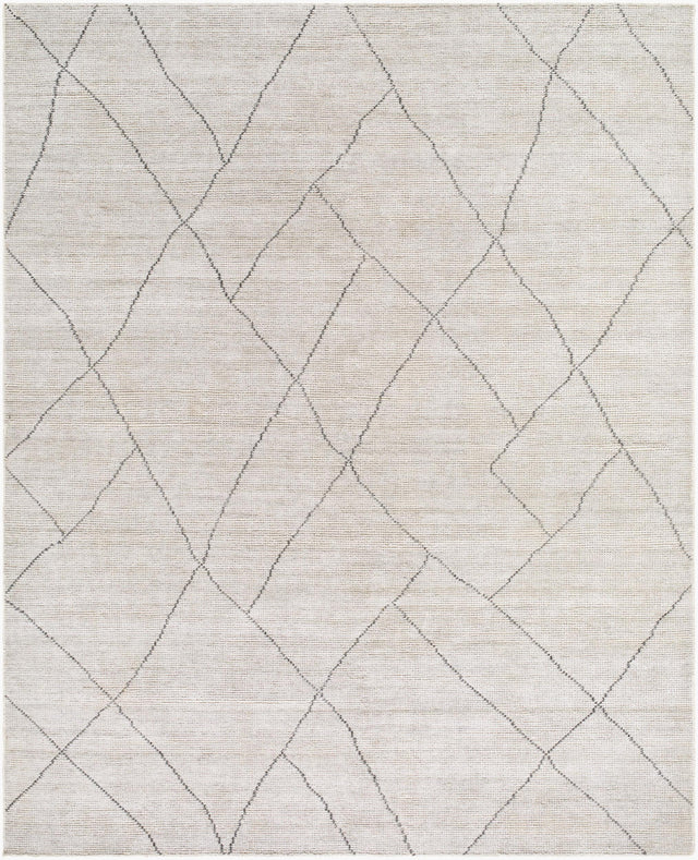 Surya Nalan NYL-2303 8' x 10' Handmade Rug