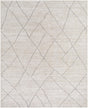Surya Nalan NYL-2303 8' x 10' Handmade Rug