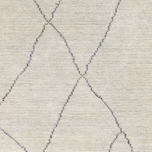 Surya Nalan NYL-2303 8' x 10' Rug