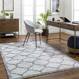 Surya Napoli NPO-2307 8' x 10' Rug