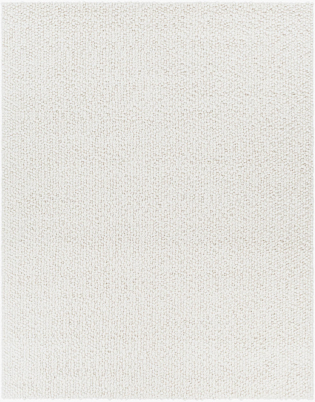 Surya Neravan NER-1003 8' x 10' Handmade Rug