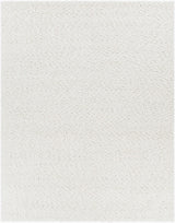 Surya Neravan NER-1003 9' x 12' Handmade Rug