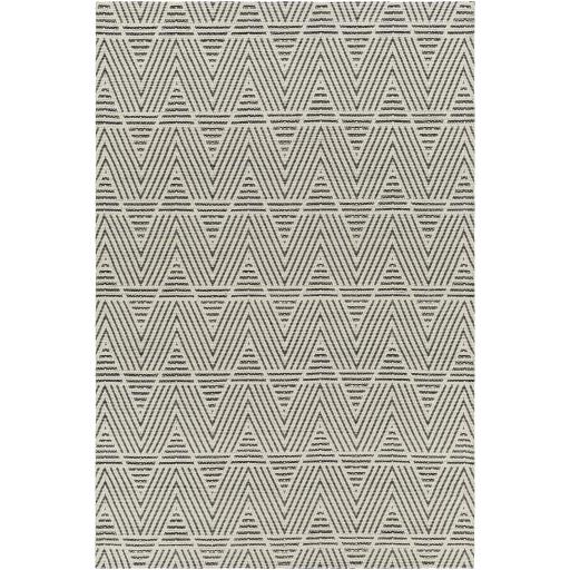 Surya Nevada NVD-2302 8' x 10' Rug