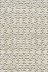 Surya Nevada NVD-2303 27" x 45" Rug