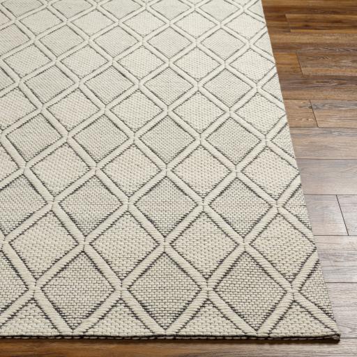 Surya Nevada NVD-2303 27" x 45" Rug