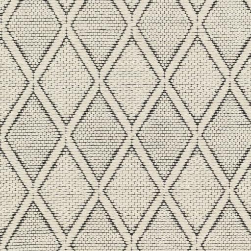 Surya Nevada NVD-2303 27" x 45" Rug