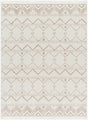 Livabliss New Delhi NWH-2305 8'11" x 12' Machine Woven Rug