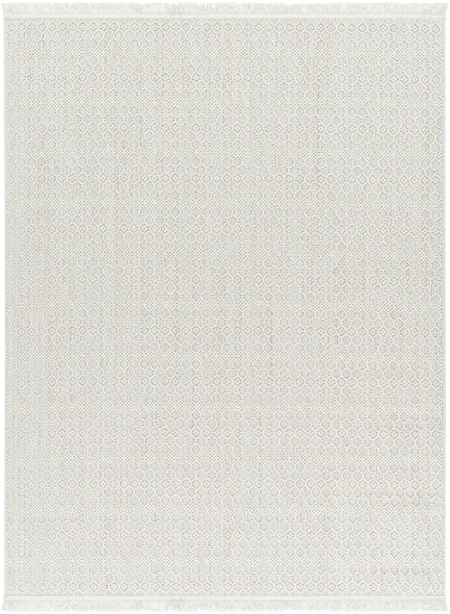 Surya New Delhi NWH-2308 Cream Light Gray 3'10" x 5'7" Rug