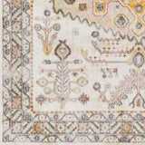 Surya New Mexico NWM-2312 2' x 2'11" Rug