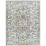 Surya New Mexico NWM-2318 2' x 3' Rug