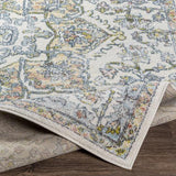 Surya New Mexico NWM-2318 2' x 3' Rug