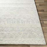 Surya Newcastle NCS-2312 4' x 6' Rug