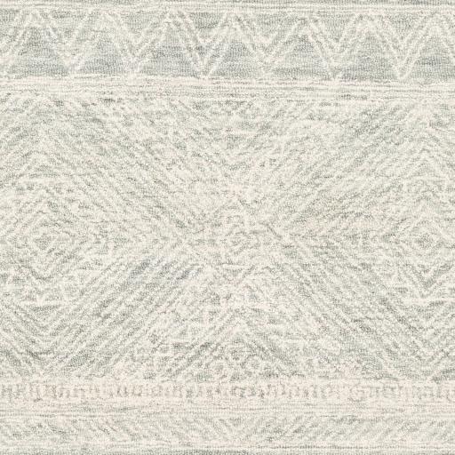 Surya Newcastle NCS-2312 4' x 6' Rug
