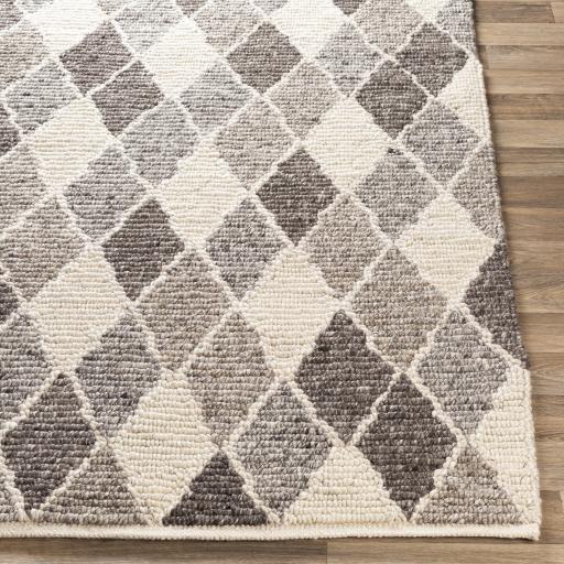Surya Nico NIC-7002 2' x 3' Rug