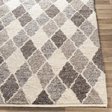 Surya Nico NIC-7002 2' x 3' Rug