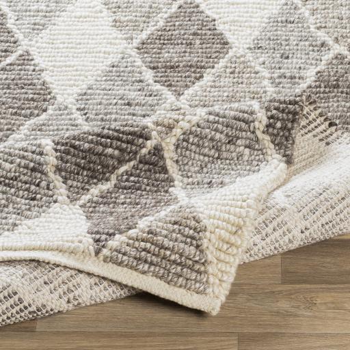 Surya Nico NIC-7002 2' x 3' Rug