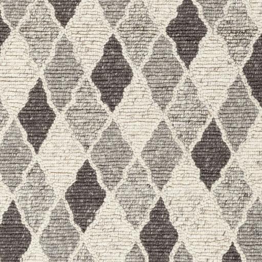 Surya Nico NIC-7002 2' x 3' Rug