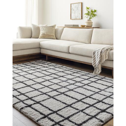 Surya Nicole NCO-2300 2' x 3' Rug