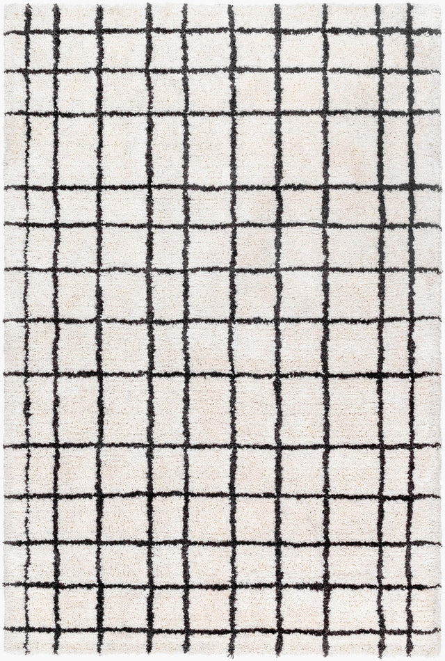 Livabliss Nicole NCO-2300 2' x 3' Handmade Rug