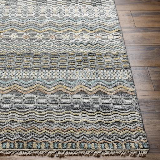 Surya Nobility NBI-2312 2' x 3' Rug