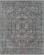 Surya Nobility NBI-2315 6' x 9' Handmade Rug