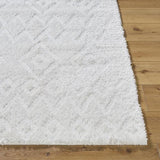 Surya Nomadic NMC-2306 Ivory 6'7" x 9' Rug