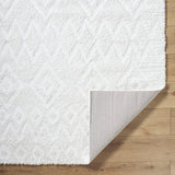 Surya Nomadic NMC-2306 6'7" x 9' Rug