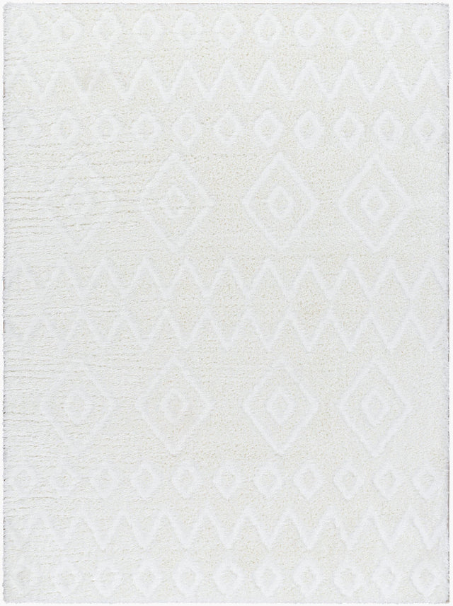 Livabliss Nomadic NMC-2306 7'10" x 10' Machine Woven Rug