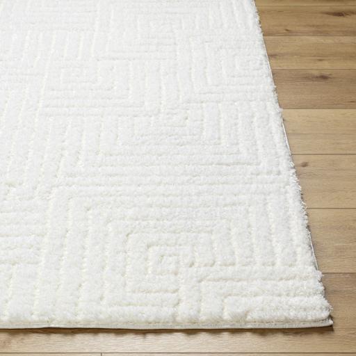 Surya Nomadic NMC-2314 5'3" x 7' Rug