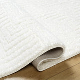 Surya Nomadic NMC-2314 5'3" x 7' Rug
