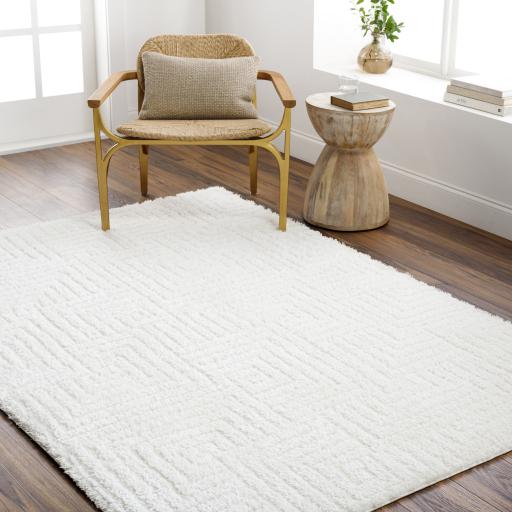 Surya Nomadic NMC-2314 6'7" x 9' Rug