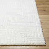 Surya Nomadic NMC-2314 7'10" x 10' Rug