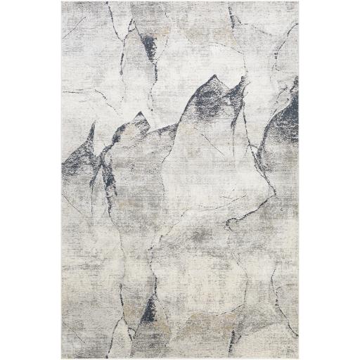 Surya Norland NLD-2311 2' x 2'11" Rug