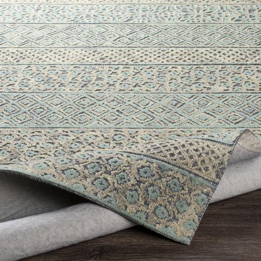Surya Oakland OAA-1011 2' x 3' Rug