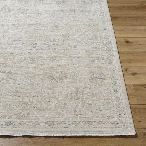 Surya Once Upon a Time OAT-2309 Gray Ivory 8'10" x 11'10" Rug