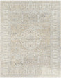 Surya Once Upon a Time OAT-2310 2'11" x 9'10" Handmade Rug