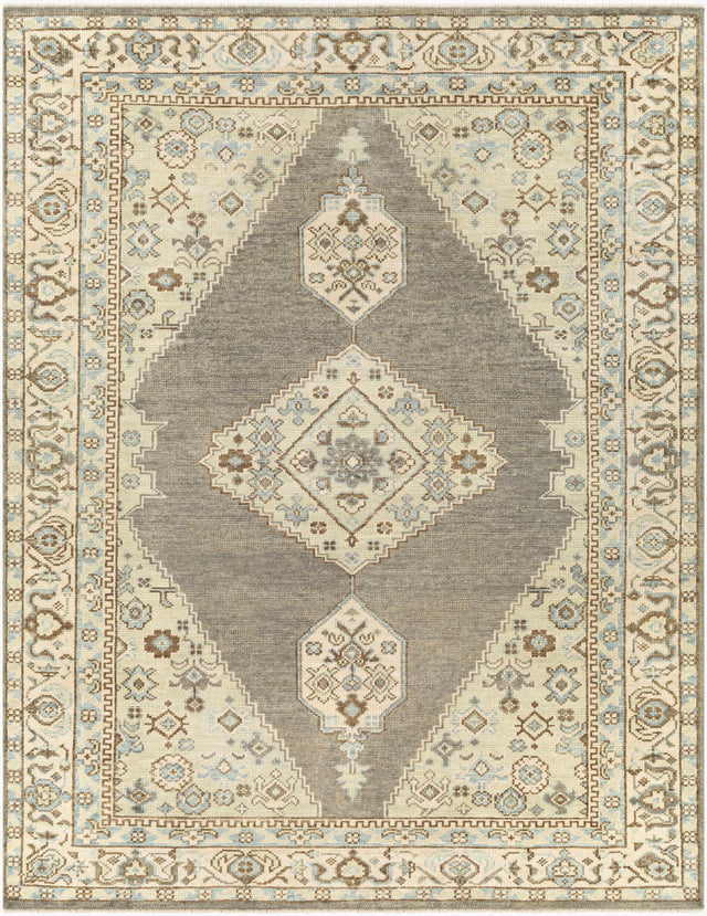 Surya Palais PAL-2304 8'10" x 12' Handmade Rug