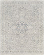 Surya Palazzo PZL-2300 Blush Brown 2' x 3'3" Rug