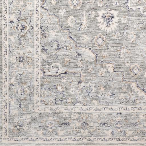 Surya Palazzo PZL-2300 5' x 8'2" Rug
