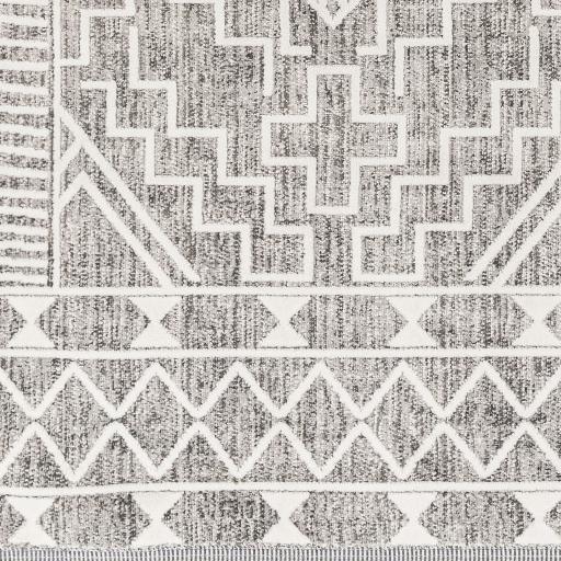 Surya Palermo PLR-2304 9'2" x 12' Rug