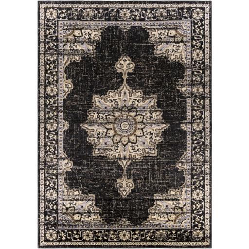 Surya Paramount PAR-1089 8'10" x 12'10" Rug