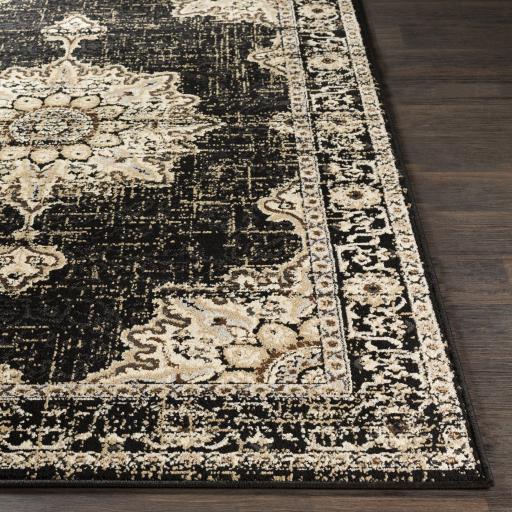 Surya Paramount PAR-1089 8'10" x 12'10" Rug