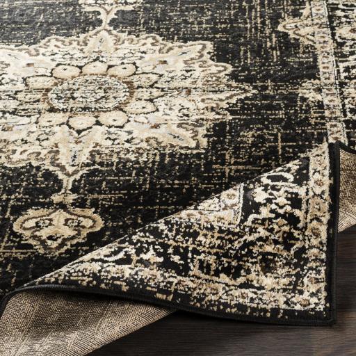 Surya Paramount PAR-1089 8'10" x 12'10" Rug