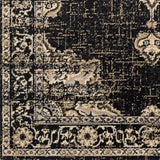 Surya Paramount PAR-1089 8'10" x 12'10" Rug