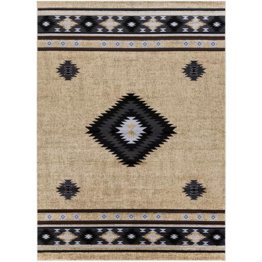 Surya Paramount PAR-1096 1'10" x 2'11" Rug