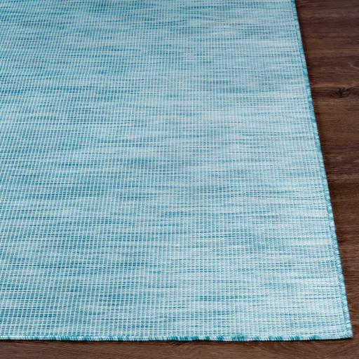 Surya Pasadena PSA-2311 2'6" x 7'3" Rug