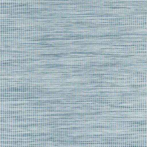 Surya Pasadena PSA-2311 2'6" x 7'3" Rug